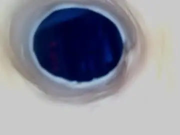 Chaturbate Nude Webcam of paulainoscente