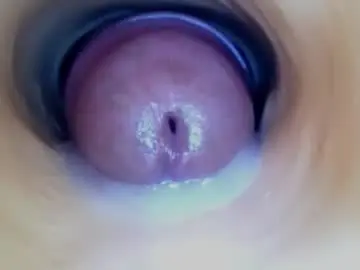 Chaturbate Live Porn of paulainoscente