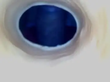Chaturbate Sex Cam of paulainoscente