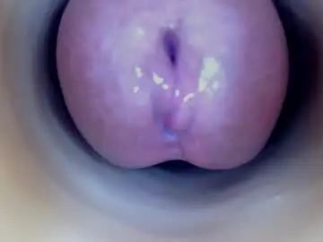 Chaturbate Free Live Porn of paulainoscente