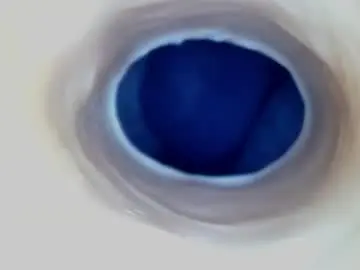 Chaturbate Sex Cam of paulainoscente