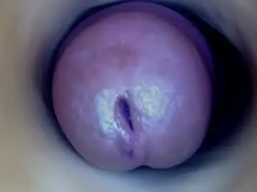 Chaturbate Adult Webcam of paulainoscente
