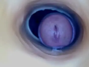 Chaturbate Free Porn Cam of paulainoscente
