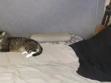 Chaturbate Sex Cam of michael_danymans