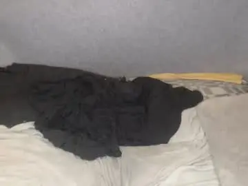Chaturbate Free Live Porn of michael_danymans