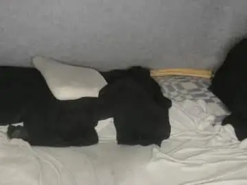 Chaturbate Free Porn Cam of michael_danymans