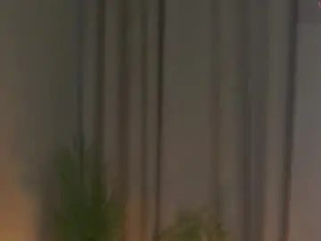 Chaturbate Free Porn Cam of sheenadu