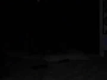 Chaturbate Adult Webcam of danistuart