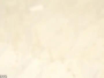 Chaturbate Adult Video Chat of julesxdann