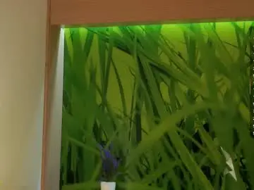 Chaturbate Adult Webcam of _wicked_game