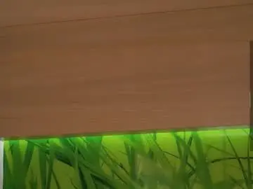Chaturbate Live Sex Cam of _wicked_game