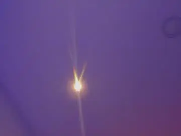 Chaturbate Sex Cam of tony_petrov