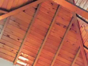 Chaturbate Live Sex of tony_petrov