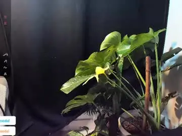 Chaturbate Sex Chat of lucasanto_