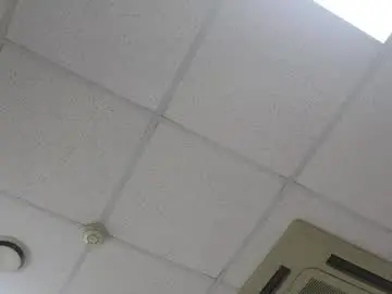 Chaturbate Live Porn of asel_e