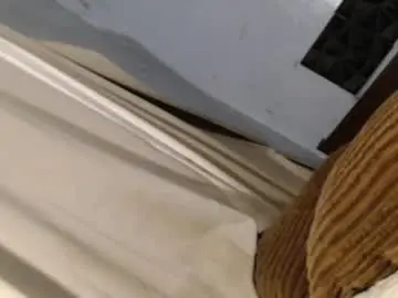 Chaturbate Live Sex of ts_slutgirl2021