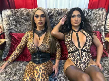 Imlive Adult Webcams of HaddieMarthaTsDuo