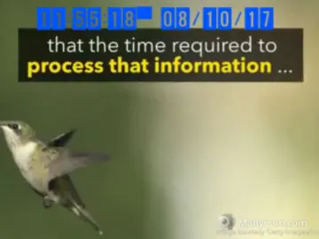 Imlive Adult Webcam of klubnika23