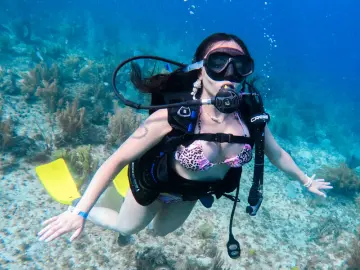 Livejasmin Sex Chat of AliceSampaoli