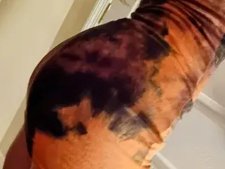 Streamate Adult Webcams of secrethoneypotxo
