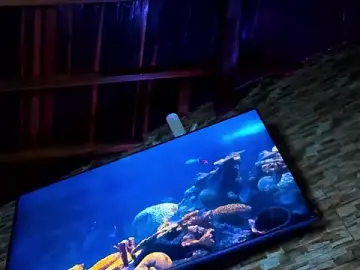 Stripchat Best live sex cam show of Seth_Owner