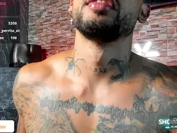 Stripchat Adult Webcam of Seth_Owner