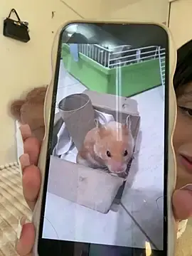 Stripchat Adult Video Chat of ZaraLuuv