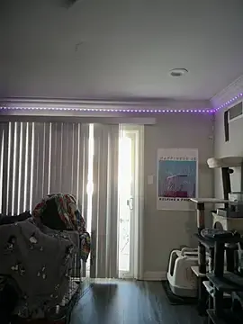 Stripchat Sex Cam of ThicBunz