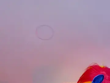 Stripchat Best Webcam of Chris_parker27