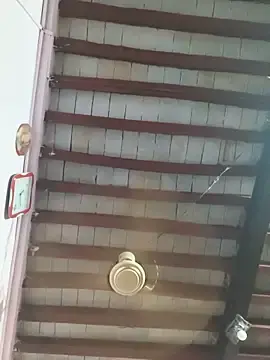 Stripchat Nude Webcam of Love-pari77