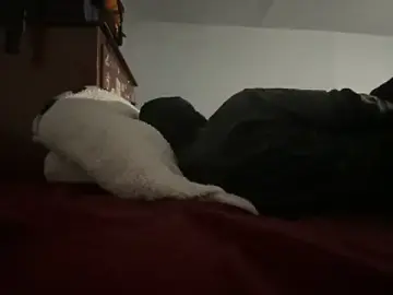 Stripchat Adult Webcam of MIGHTYDEMONXXX