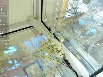 Stripchat Private Sex Chat of Russian_Ava