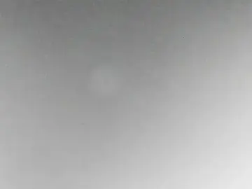 Stripchat Free Porn Cam of Eirlysx
