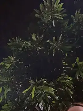 Stripchat Adult Webcams of lariic