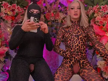 Stripchat Free Live Porn of SpicySluts