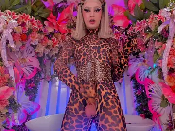 Stripchat Adult Webcams of SpicySluts