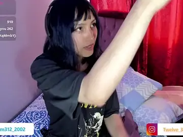 Stripchat Sex Cam of Room312_