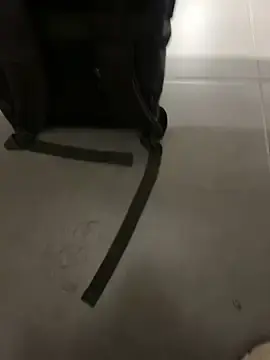 Stripchat Best live sex cam show of TheKingThiago