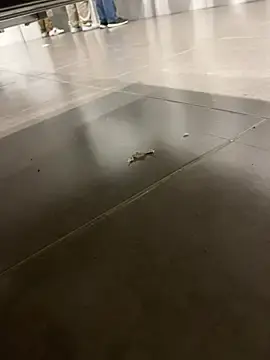 Stripchat Private Sex Chat of TheKingThiago