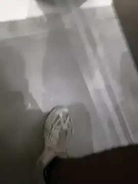 Stripchat Best live sex cam show of TheKingThiago
