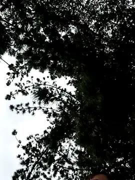 Stripchat Best Webcam of Cata_city1106