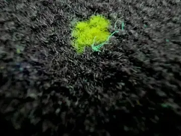 Stripchat Adult Webcams of AishaRouhi