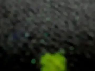 Stripchat Free Live Porn of AishaRouhi