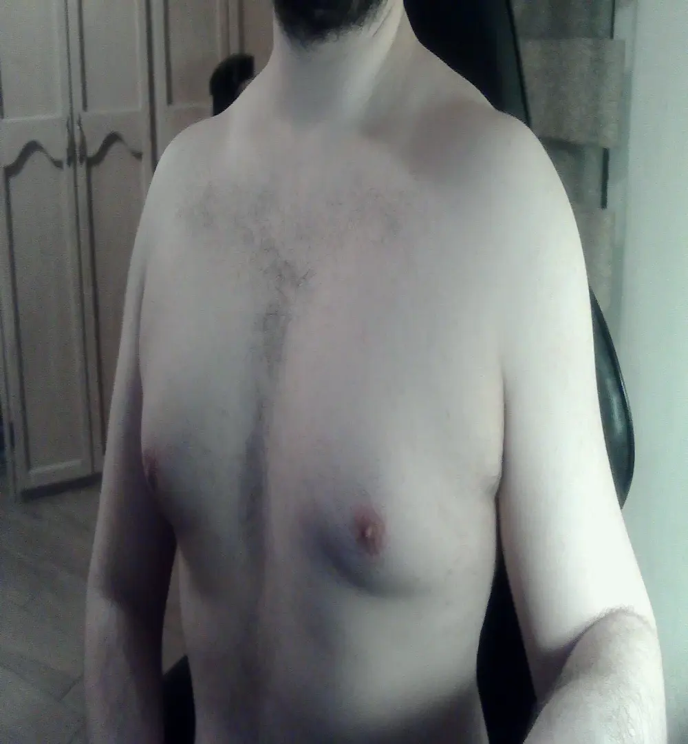 Himbo_fox