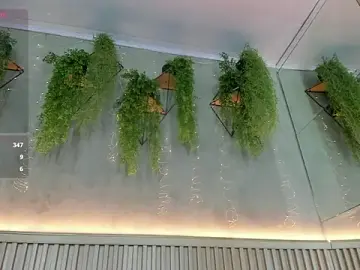 Stripchat Live Porn of Lana_Lann