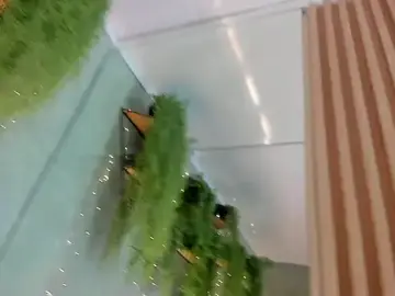 Stripchat Live Porn of Lana_Lann