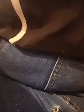 Stripchat Sex Chat of KITY_HILL