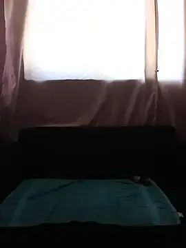 Stripchat Live Sex of shy-lillyX22