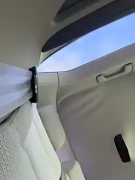 Stripchat Best Webcam of Pablo_Hornyguy95