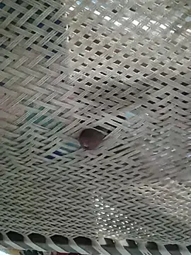 Stripchat Adult Video Chat of Lovingsol